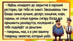 Зять засунул руку теще в трусы! Сборник свежих анекдотов 2024! Юмор
