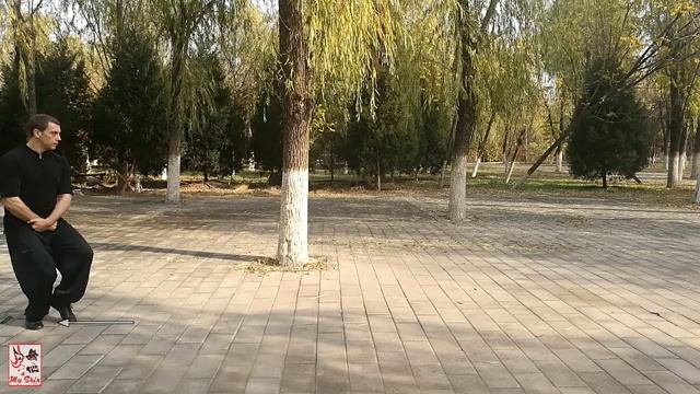 Десятиминутный учебник Синъицюань - Хэн Цюань (Перекрестный кулак). Байрон Джейкобс