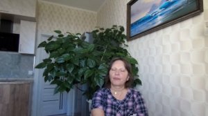 Начало начал