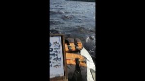 ЛОДОЧНЫЙ МОТОР ПУЛЯ-5 ДЛЯ ТРОЛЛИНГА.