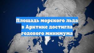 Площадь морского льда в Арктике достигла годового минимума