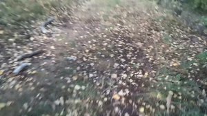 Обзор на шалаш