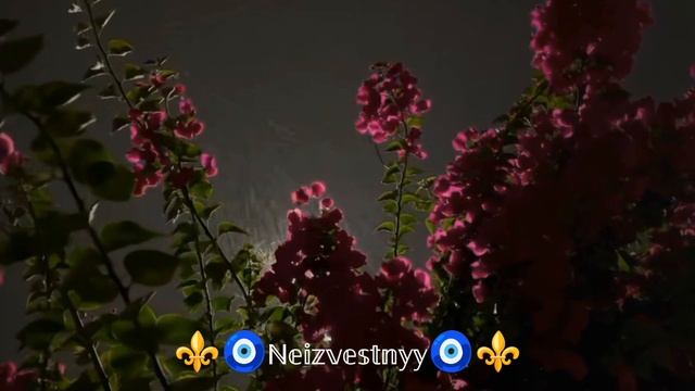 ✨Красивая мелодия ✨ смотреть онлайн