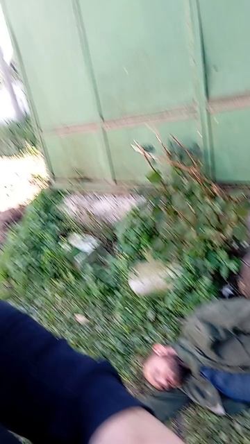 Очередь за солнцем на холодном углу!.. смотреть онлайн