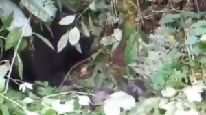 Я ещё учусь. 🐒☺️