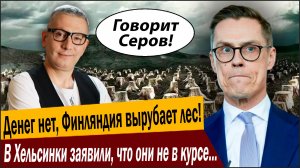 Денег нет, Финляндия вырубает лес! В Хельсинки заявили, что они не в курсе за Ленинград!