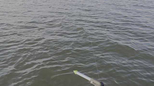 Судак на паноптикс Panoptix смотреть онлайн