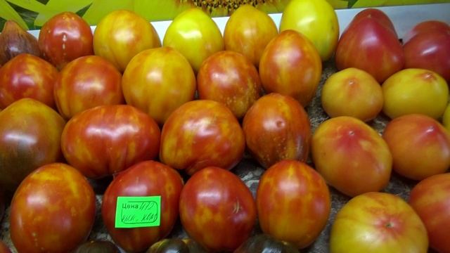 Томаты - новинки 2025 года. Томат Рыжая комета Софии.
