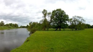 река Сож Чериковский р-н