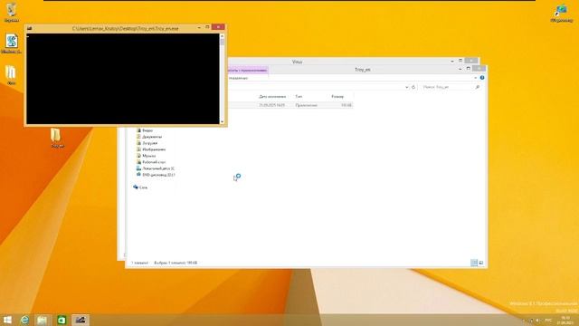 Тест вирусов от подписчика