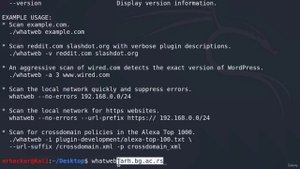 18. Скрытое сканирование Whatweb