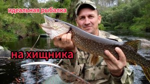 Рыбалка на спиннинг на реке