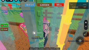 проверяем видио из лайка😽