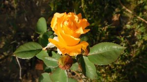 19=09=2025  кмр   (117)