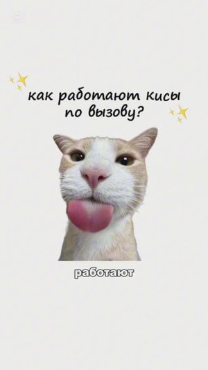 КИСА ОБЪЯСНЯЕТ / Как улететь в другую Страну? / Кто такой Ян Топлес? / Как работают Кисы По Вызову?