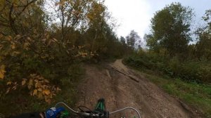 встретили на мото в лесу вооруженных