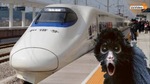 Dunyoning eng uzun temir yo‘llari - Dunyo mo'jizalari !!!