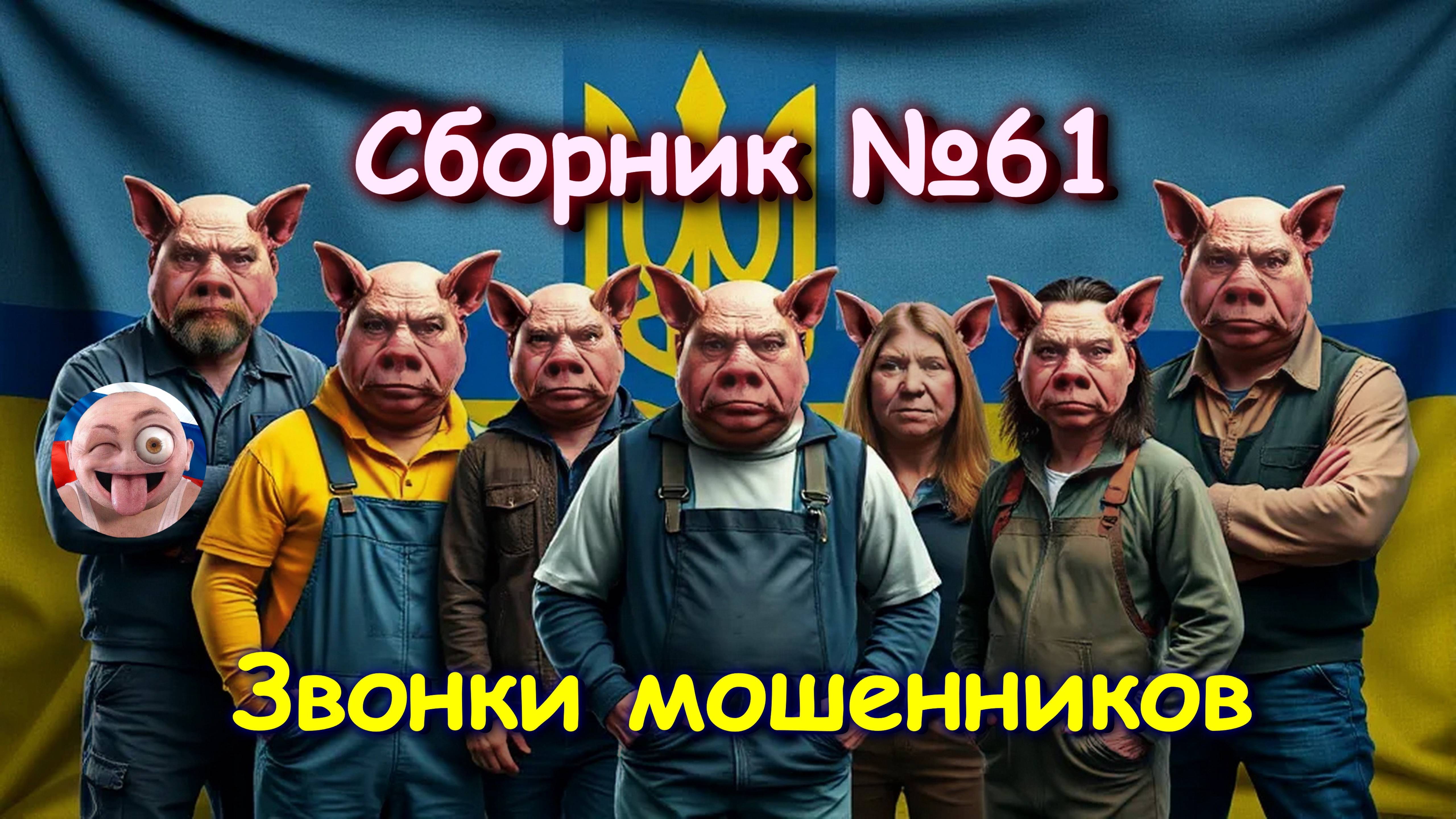 Сборник №61