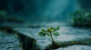 знак судьбы 2