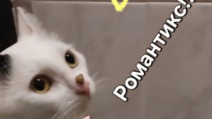 космическая идиллия.