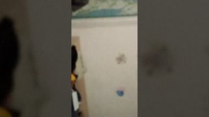 (Зайчий×крест) серия 1-ая. Ужасная кукла!