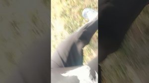 1000014652.mp4