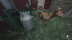 #13 Ranch Simulator. СОЛО заработок миллиона за 100 дней без трудностей! Марафон. с 45-49 день