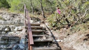 Сосновка. 21 сентября 2025 год.