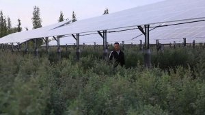 ⚡️Синьцзян переходит на экологичные источники энергии