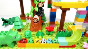 Конструктор Лего собираем вместе