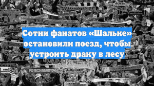 Сотни фанатов «Шальке» остановили поезд, чтобы устроить драку в лесу