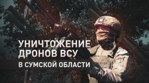 Точные расчёты и тактические навыки: работа зенитчиков ВС РФ в Сумской области