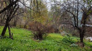 Об Осени строки...