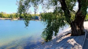 Парк Якутова.mp4