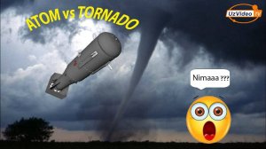 Quyunga bomba otsa nima bo‘ladi - 2019 yil Donalt Tramp g'oyasi !!!