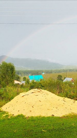 Грибы сапрофиты полезны для сада.