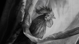 video_105 Миражи из органзы