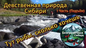 Девственная природа Сибири ( 1 часть Дорога)