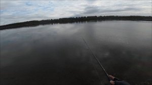 Осенний жерех на пилькер. Закрыл сезон по жереху! 🍁🍂🎣