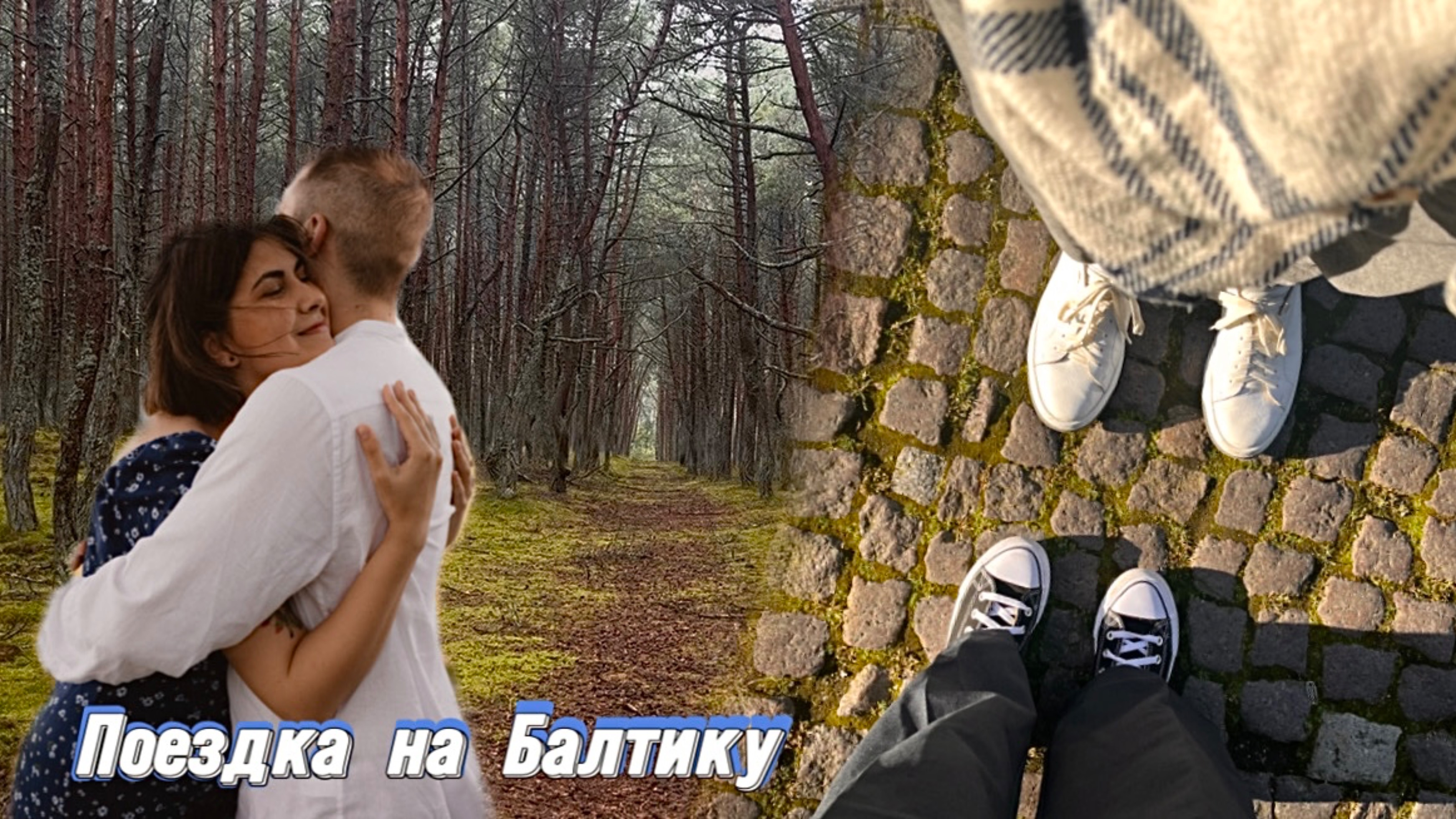 летим на Балтику.чайки,много прогулок и любовь