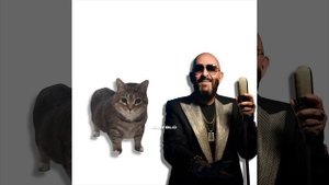 я календарь переверну