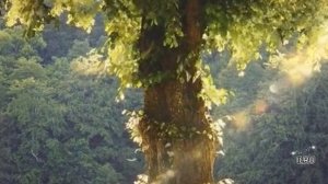 Шокирующая встреча Как тайна одна разрушила две семьи льт