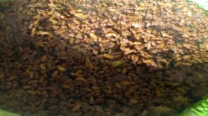 Капустный пирог с мясом на ужин