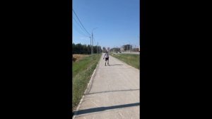 на лыжероллерах