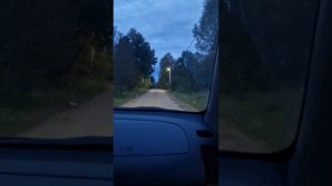 песня Александра Маршала