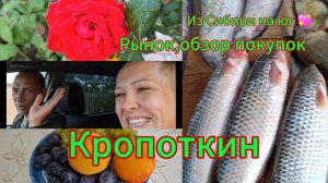 21-09-2025 Переезд из Сибири на юг 💖 /Наслаждаемся южной жизнью ☀️/Кропоткин/Рынок/Забор/Гроза/