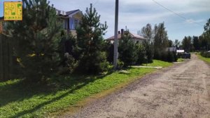 Большая прогулка. Часть 2. Черепашка и небо.