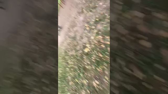 мы после школы:)