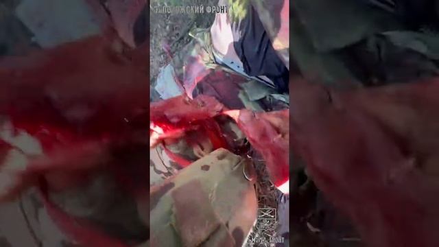 Эвакуация раненых бойцов смотреть онлайн