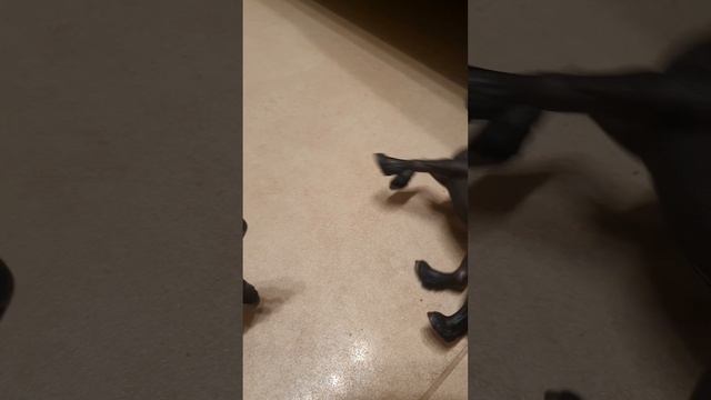 Афина убеждает освободить Одиссея